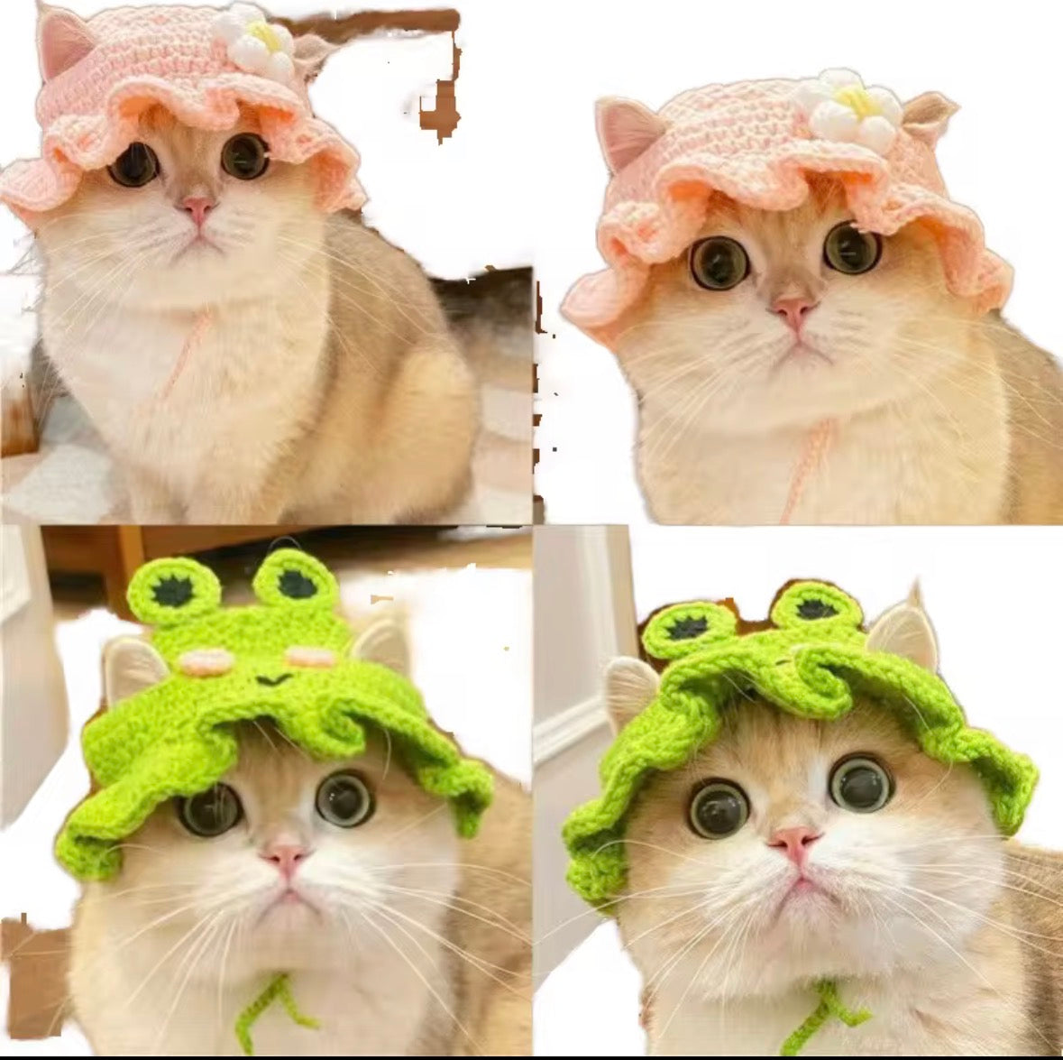 e handmade, colorful crochet bucket hats for cats, featuring distinct designs like a light pink hat with a white flower and a bright green hat styled as a frog.