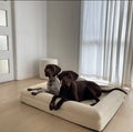Dazy Dog orthopaedic dog bed featuring a machine-washable ivory bouclé cover.