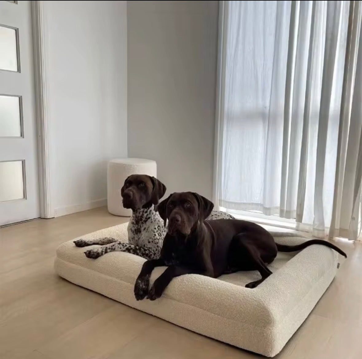 Dazy Dog orthopaedic dog bed featuring a machine-washable ivory bouclé cover.