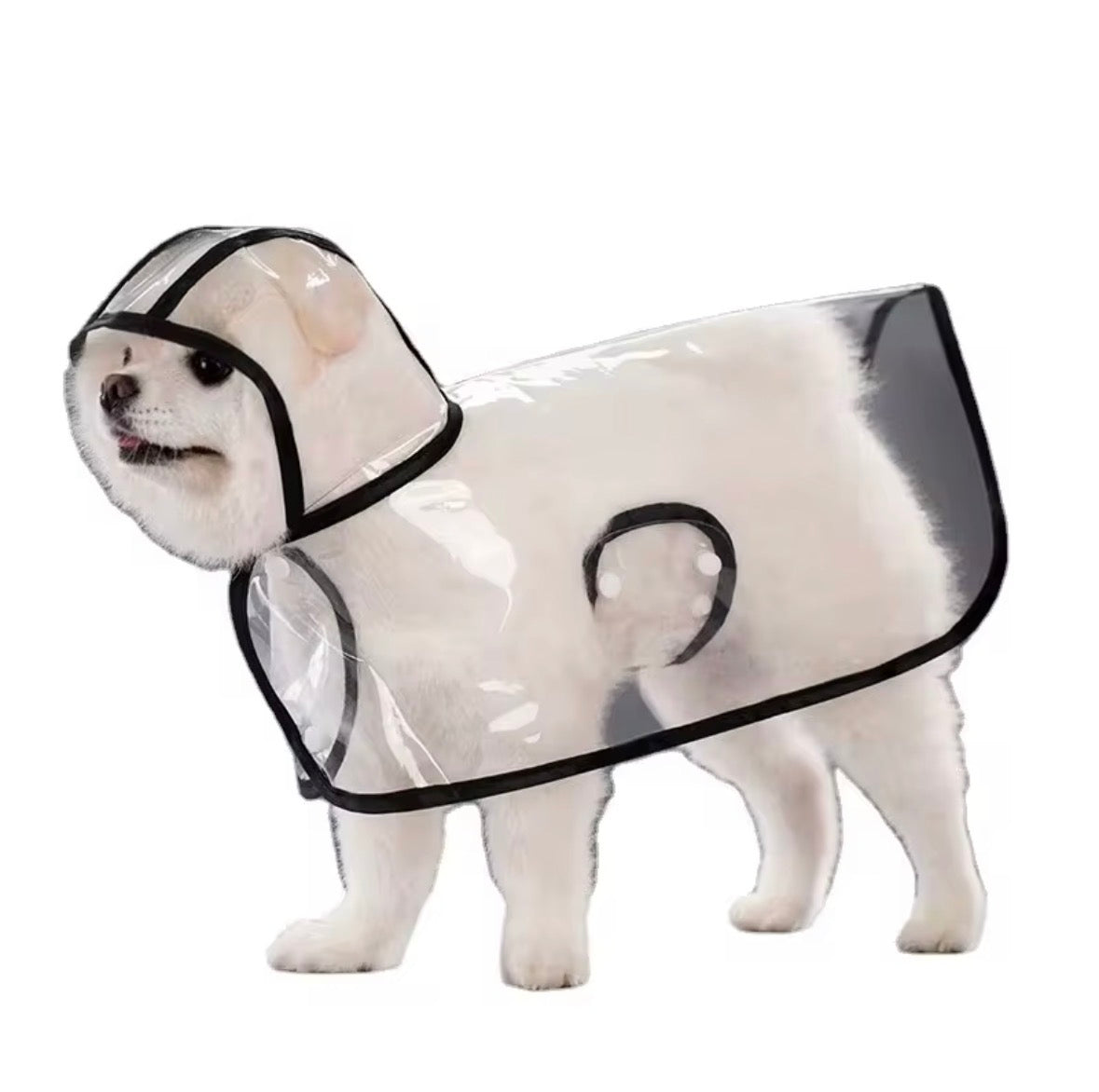 transparent dog raincoat with black trim and a hood.