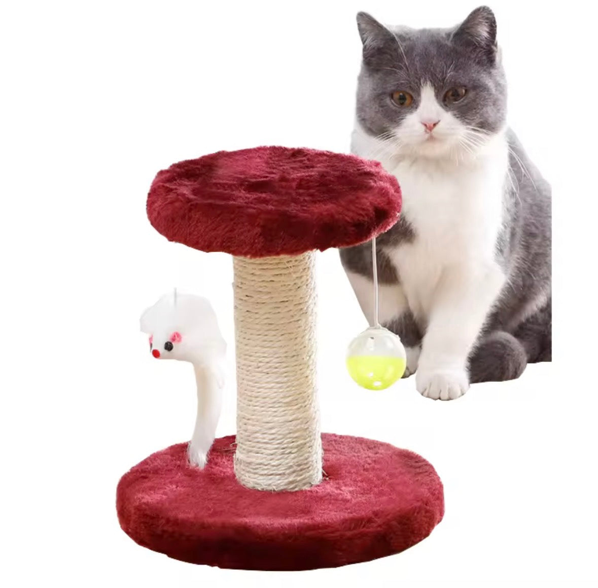 ed sisal-covered cat scratching post featuring a plush base and top platform